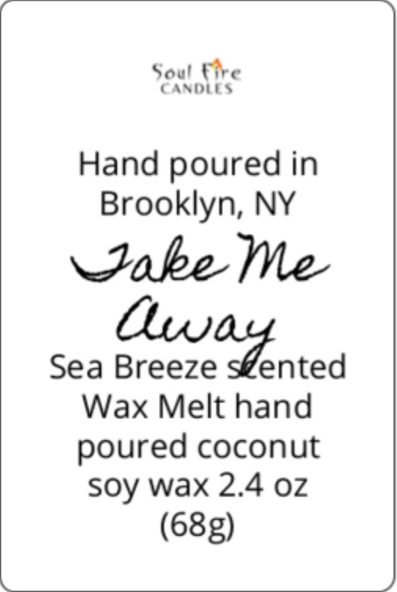 Take Me Away Wax Melt